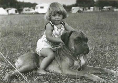 A fawn Boxer dog is laying in a field with little child sitting on its back. There are campers and tents in the distance.