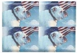 Mugzy the American Bulldog is Photoshopped into a sky with an American flag flowing behind it
