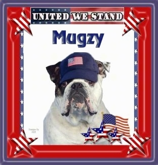 Mugzy the English Bulldog is on photoshopped background and a american flag hat is photoshopped on its head. The words 'United We Stand' are on the frame. And over top of Mugzy the word 'Mugzy' is overlayed