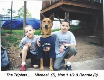 Two boys are kneeling next to a Pharaoh Hound in an Old Navy shirt. The words - The Triplets.......Michael (7), Mox 1 1/2 & Ronnie(9) - are overlayed in the bottom middle.