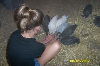A blonde haired girl is feeding guinea fowl birds out of her hands.