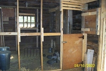 The outside of a guinea fowl coop. The guinea fowl are standing behind an open coop door.