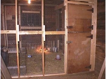 The new keet coop inside of a chicken coop barn. It has a wooden door and a wire mesh wall strengthened by wood beams.