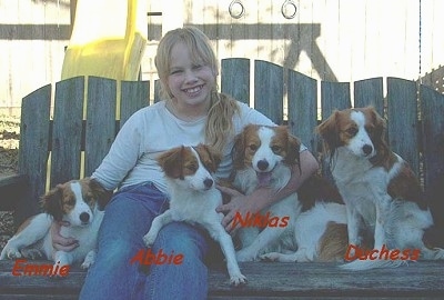 Four Kooikerhondje dogs are sitting outside on a wooden glider bench next to a young blond-haired lady. The words - Emmie Abbie Niklas Duchess - are overlayed