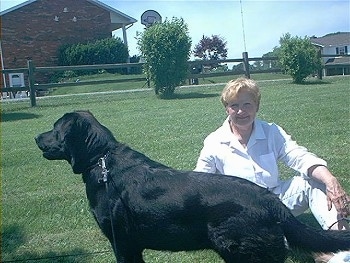 A black Labrador Retriever is standing in a grassy yard and looking to the left next to a lady dressed in a white shirt and blue jeans who is sitting down in the grass. There is a split rail fence and a house in the distance.