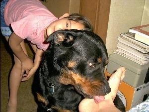 A black and tan Rottweiler is sitting on a carpet and it is licking the foot of a person next to it. There is a girl in a pink shirt laying her head over the back of the dog.