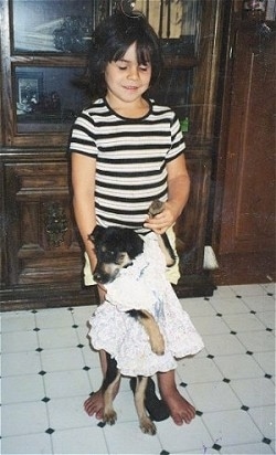 A little girl holding the paw of a small black and tan dog who is standing on its hind legs and wearing a dress on a white tiled floor with wood furnture behind them