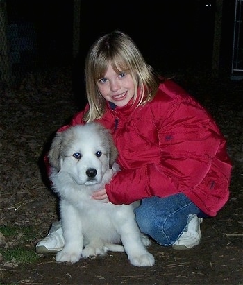 A blonde haired girl in a red coat is kneeling and hugging a fluffy white with tan Great Pyrenees puppy that is next to her
