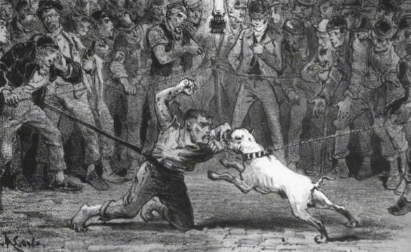 A drawing of a man fighting a bulldog in front of a bunch of people in a dog pit ring