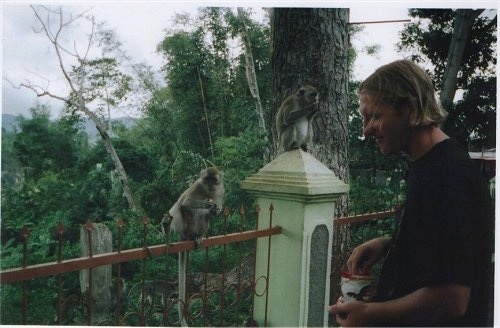 A man is reaching into a cup of nuts. There are two monkeys on a fence in front of them and they are eating nuts.