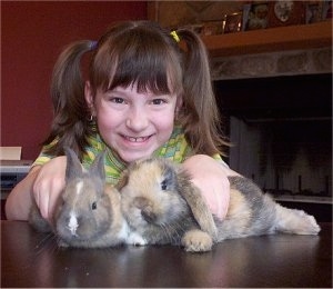 A girl is standing behind two rabbits laying on a table. The girl is looking forward and smiling.