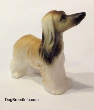 The front right side of a white with tan and black Tiny vintage bone china Afghan Hound dog figurine that has a long pointy snout and long hair on its ears.