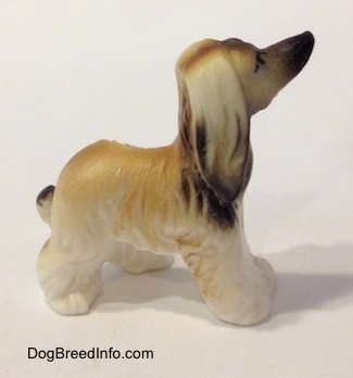 The right side of a white with tan and black Tiny vintage bone china Afghan Hound dog figurine. The dog his holding its tail down low.