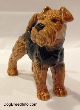 The front of a black and brown Vintage Airedale Terrier dog West Germany Goebel figurine that has a wide muzzle, textured lines showing thick fur, short v-shaped ears and a tail that is up in the air.