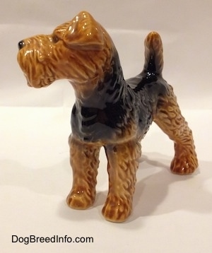 The front left side of a black and brown Vintage Airedale Terrier dog West Germany Goebel figurine that has a boxy shaped muzzle and a tail that is up in the air.