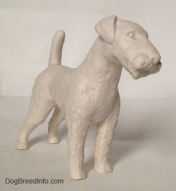 The front right side of a white bisque porcelain Airedale Terrier dog figurine that is unglazed. The dogs tail is up on the air and it has small ears that fold to the front.