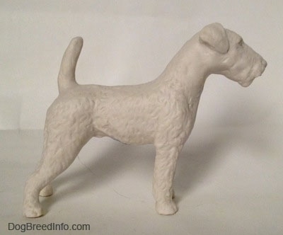 The right side of a white bisque porcelain Airedale Terrier dog figurine that is unglazed. The dog's tail is up in the air, it has small ears that fold to the front and a boxy long muzzle that does not have a stop.