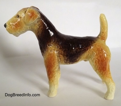 The left side of a black and tan with white Vintage Goebel Airedale Terrier porcelain dog figurine The colors in the tan vary from light tan to a darker tan.