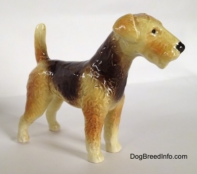 The front right side of a black and tan with white Vintage Goebel Airedale Terrier porcelain dog figurine. The dog has a black nose and its tail is up high in the air.