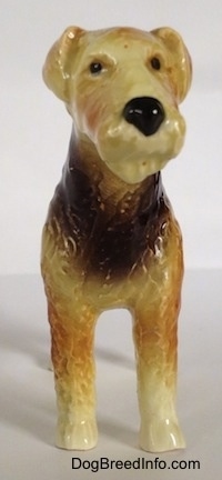 A black and tan with white Vintage Goebel Airedale Terrier porcelain dog figurine. The dogs nose and eyes are painted black.