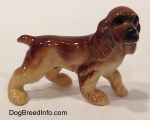 The right side of a brown and tan ceramic Cocker Spaniel figurine. It has very detailed ears.