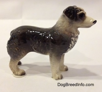 The right side of a black and white Australian Shepherd figurine. The figurine has fine hair details.