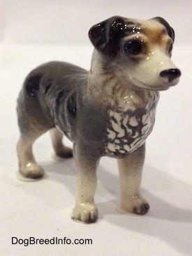 The front right side of a black and white Australian Shepherd figurine. The chest of the figurine has some white lined paint.