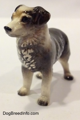 The front left side of a black and white Australian Shepherd figurine.