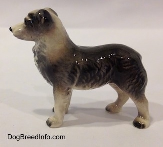 The left side of a black and white Australian Shepherd figurine. The figurine is glossy.