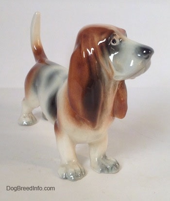 The front right side of a white with black and red Basset Hound figurine. The figurine is glossy. The dog has a long snout, a big black nose and long drop ears.