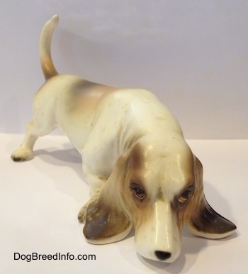 A white with brown and black porcelain Basset Hound figurine that is sniffing. The figurine has very detailed ears.