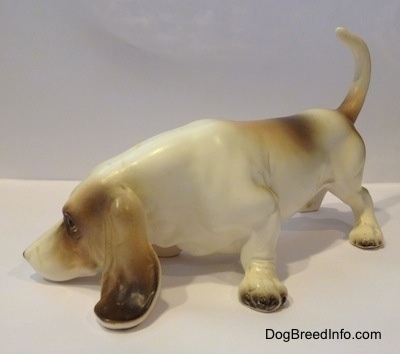 The front left side of a white with brown and black porcelain Basset Hound figurine that is sniffing. The ears of the figurine are very detailed.