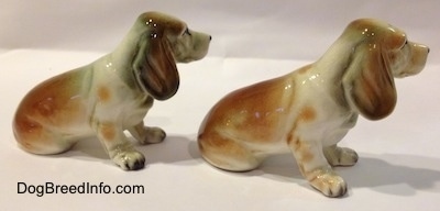 The right side of two brown and white with black ceramic Basset Hound figurine. 