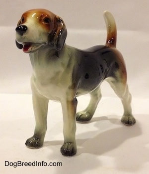 The front left side of a black, brown and white Beagle figurine. The figurine has great mouth details.