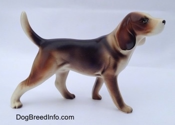 The right side of a black, brown and white porcelain Beagle Harrier figurine in a standing pose. The figurine has an arched tail.