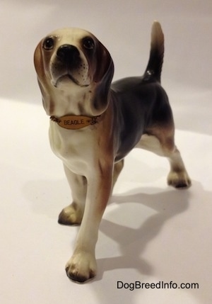 The front right side of a black, brown and white ceramic Beagle figurine with a chain ID collar that reads "Beagle". The figurine has its tail arched in the air.