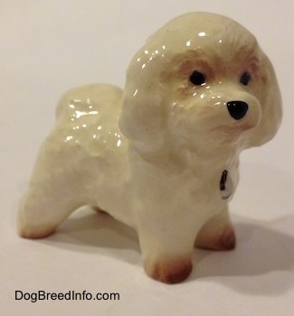 The front right side of a white with tan miniature Bichon Frise figurine, The figurine has black circles for eyes.