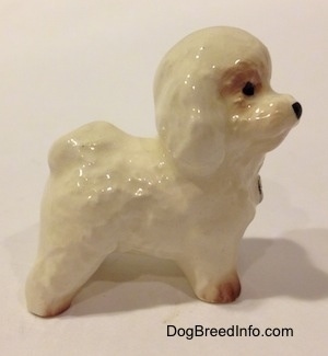 The right side of A white with tan miniature Bichon Frise dog figurine. The figurine has very little details in the paws.
