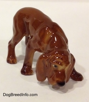 The front right side of a Hagen-Renaker miniature red variation of a Bloodhound figurine. The figurine has great eye details with black and white paint.
