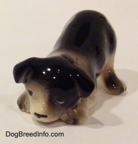The front left side of a Hagen-Renaker miniature black with white Border Collie puppy figurine. The figurine is play bowing.