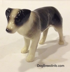 The front left side of a Retired Hagen-Renaker black with white Border Collie style 1 figurine. The figurine has very detailed eyes, but they are hard to differentiate from the face.
