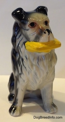 A Vintage bone China black with white Border Collie figurine that has a yellow frisbee in its mouth.