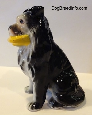 The left side of a Vintage bone China black with white Border Collie figurine that has a yellow frisbee in its mouth. The hair details on the figurine is very great.