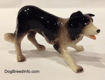 The front right side of a Hagen-Renaker miniature black with white Border Collie figurine. The figurine has its mouth open