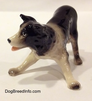 The front left side of a Hagen-Renaker miniature black with white Border Collie figurine. It is hard to tell the details of the ear from the rest of the head.