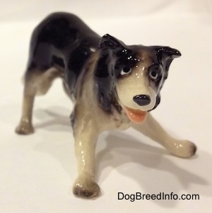 The front right side of a Hagen-Renaker miniature black with white Border Collie figurine. The figurine has cartoon eyes.