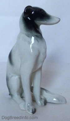 The front right side of a white with black Borzoi figurine. The figurine lacks complete details. It has a long pointy snout.
