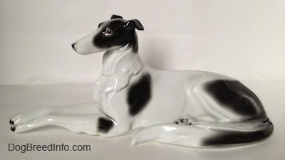 The left side of a white with black vintage Borzoi figurine that is laying down. The figurine has very detailed small eyes.