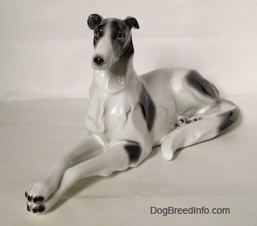 The front left side of a white with black vintage Borzoi figurine that is laying down.