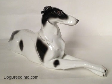 The front right side of a white with black vintage Borzoi figurine that is laying down. The chest of the figurine has fine details.